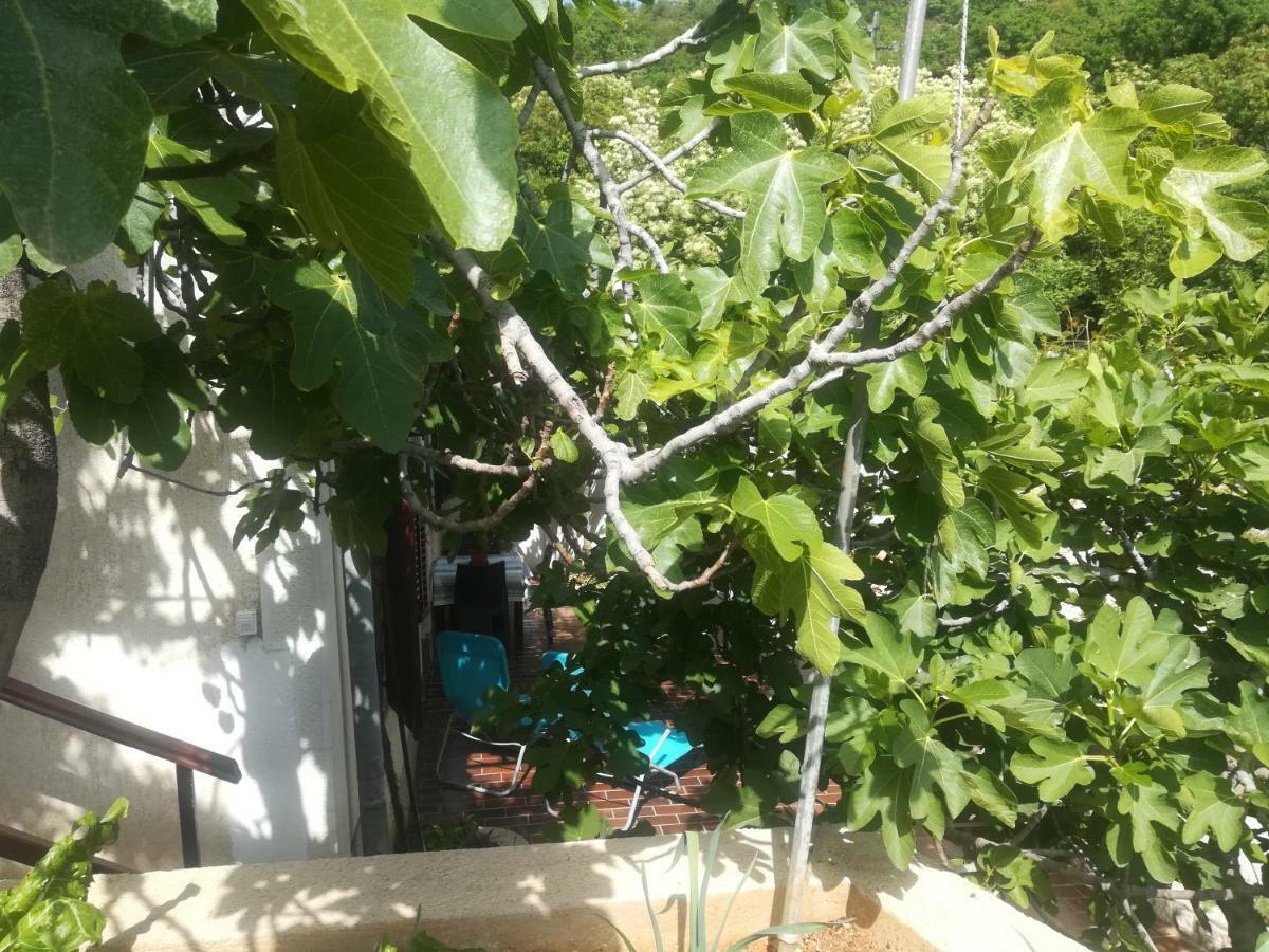 Apartman Legac Starigrad  Bagian luar foto